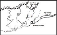 White Azalea Campground